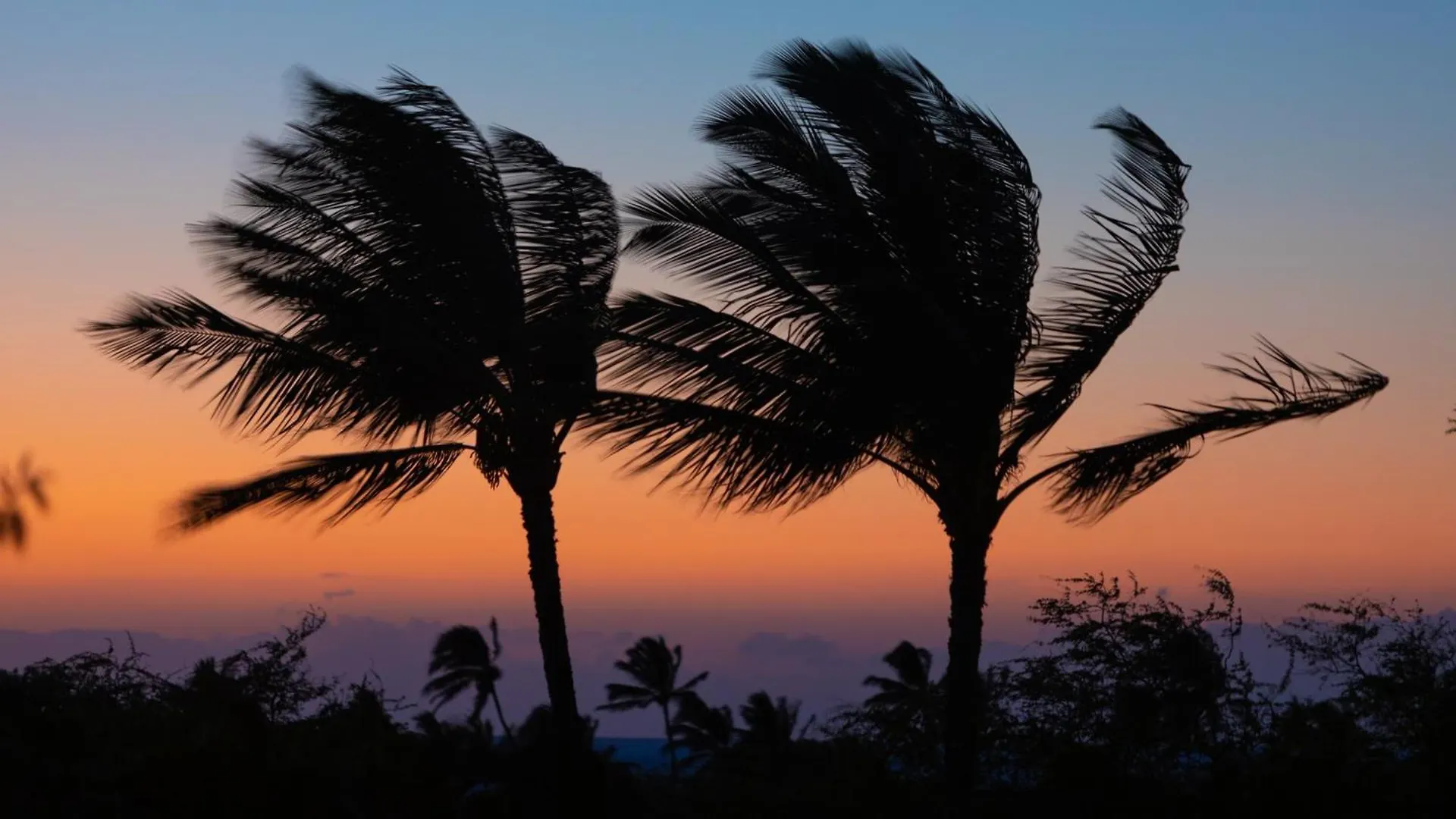 Sunset Villa Spacious Mauna Lani 3Br Home With Private Beach Club Waikoloa 0*,  United States